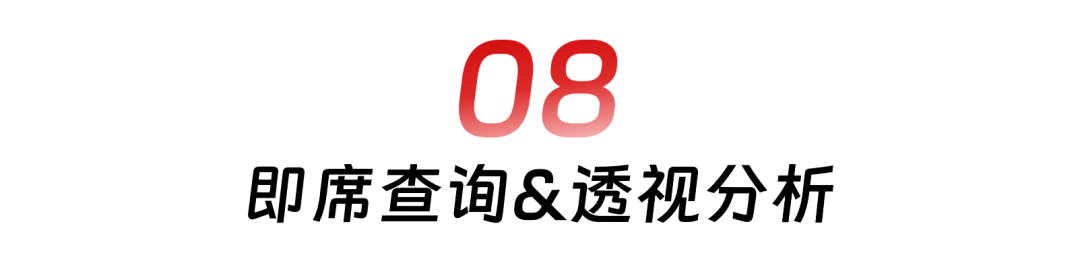 08 即席查询&透视分析.png